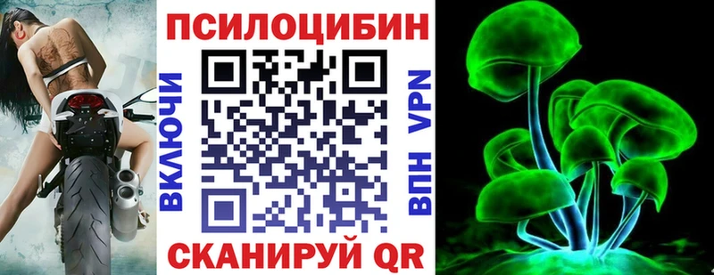 Псилоцибиновые грибы Cubensis  Оса 